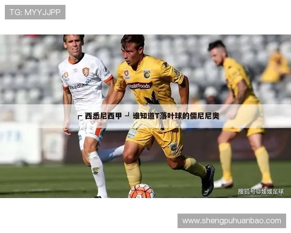 华体会中国站官网为体育爱好者打造的一站式赛事信息与投注服务网站