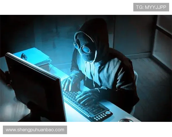 华体会体育国际版的安全保障措施：保护用户隐私和财务安全的全面策略