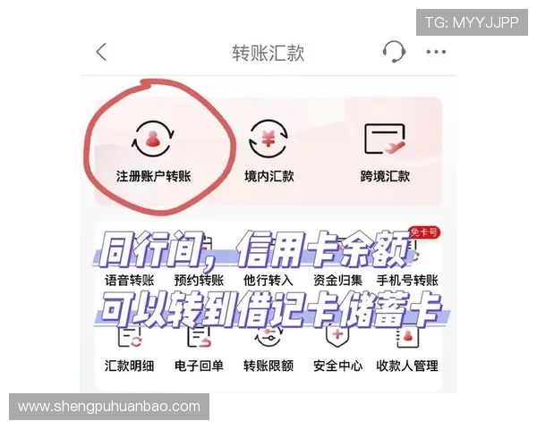 华体会提现到账时间及常见问题解析指南